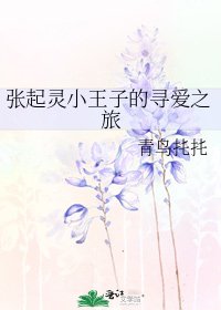 张起灵小王子的寻爱之旅