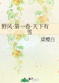 野风·第一卷·天下有雪